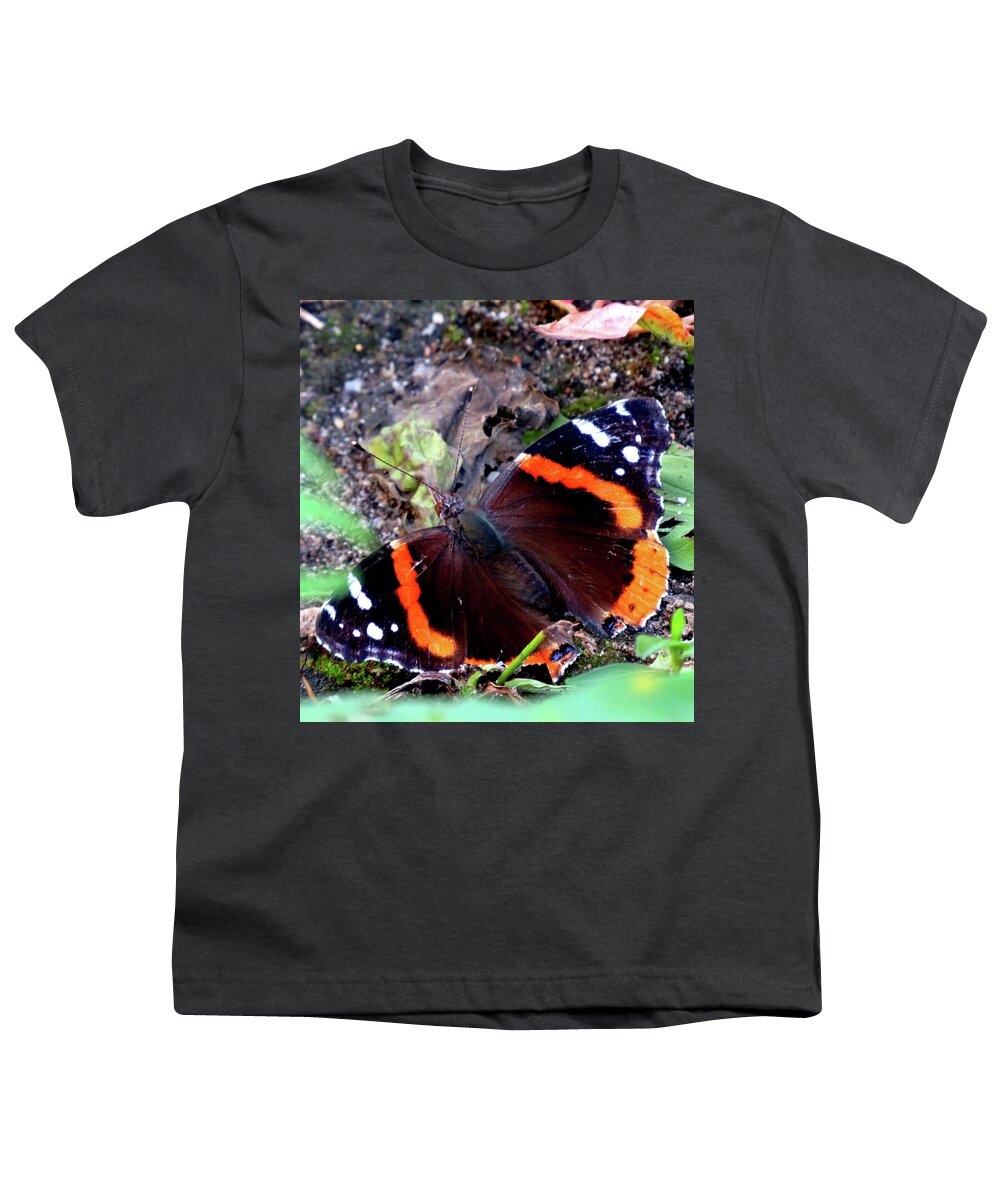 Butterfly Youth T-Shirt featuring the photograph Red Admiral Butterfly by Linda Stern