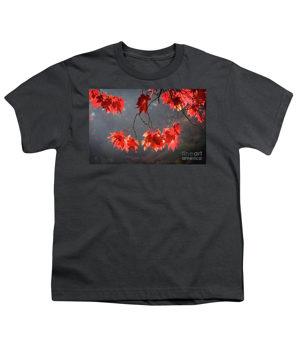 Autumn Youth T-Shirt featuring the photograph Red autumn leaves by Colin Rayner