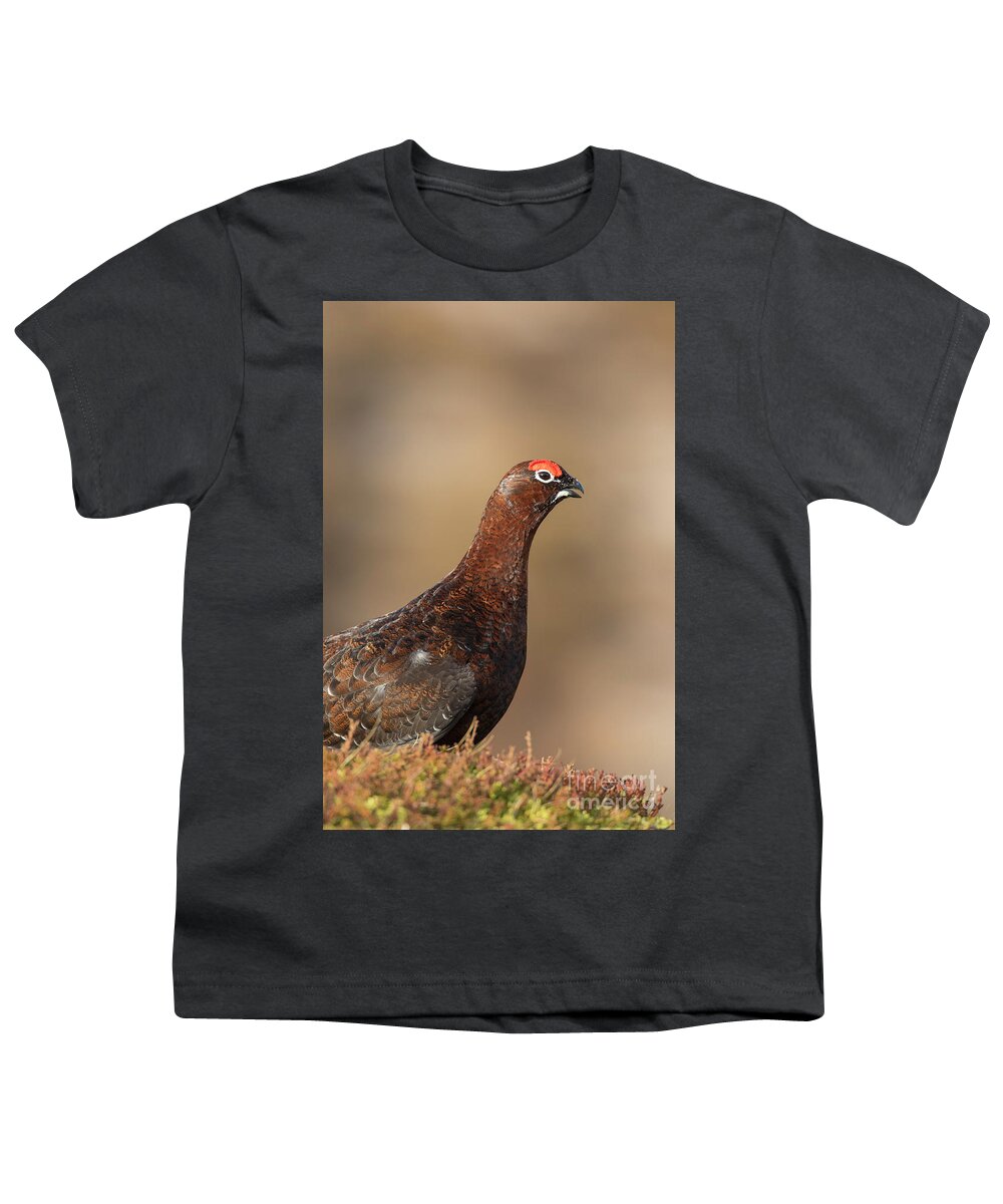 Red Grouse Youth T-Shirt featuring the photograph Red grouse by Arterra Picture Library
