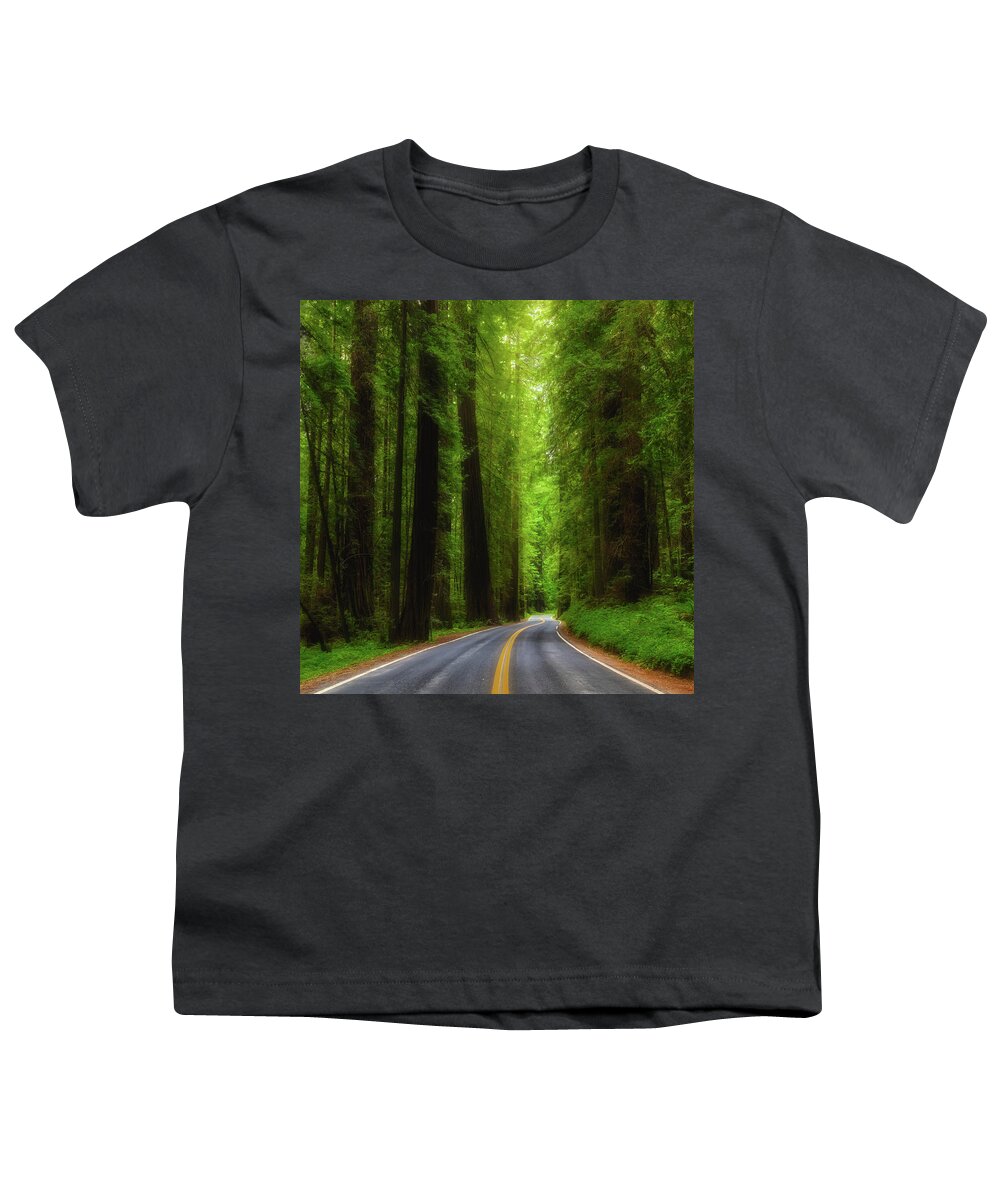 America Youth T-Shirt featuring the photograph Road through Avenue of the Giants by Jerry Fornarotto