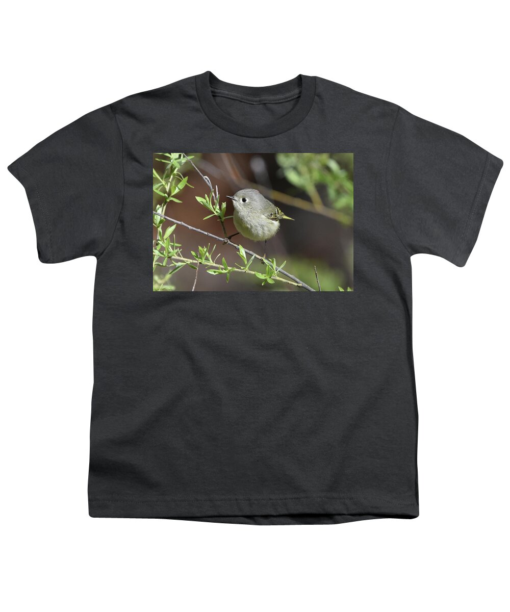 Bird Youth T-Shirt featuring the photograph Ruby-Crowned Kinglet by Ben Foster