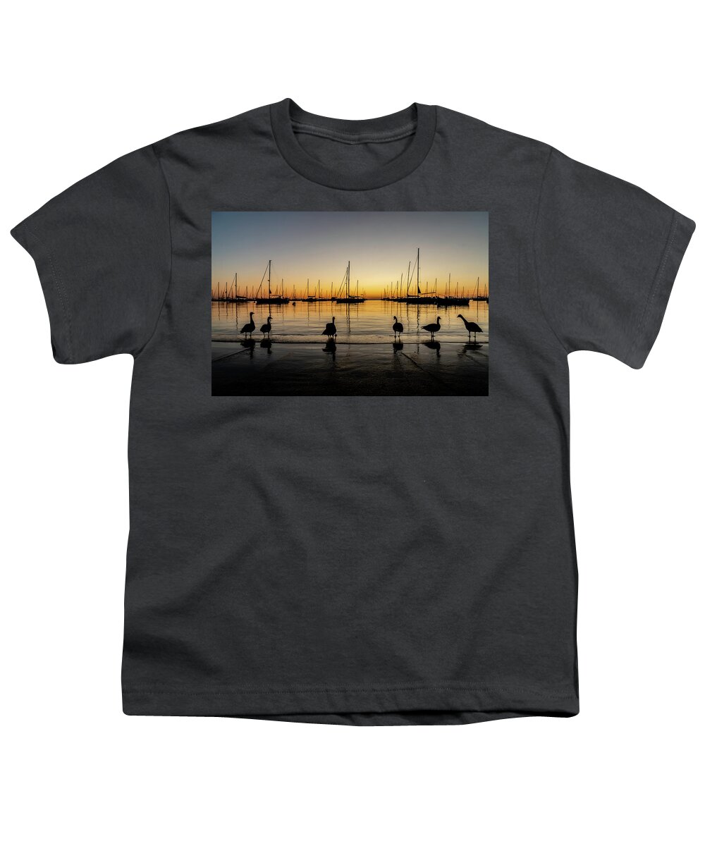 Geese Youth T-Shirt featuring the photograph Sailboats and Geese in a Chicago Harbor one beautiful morning by Sven Brogren
