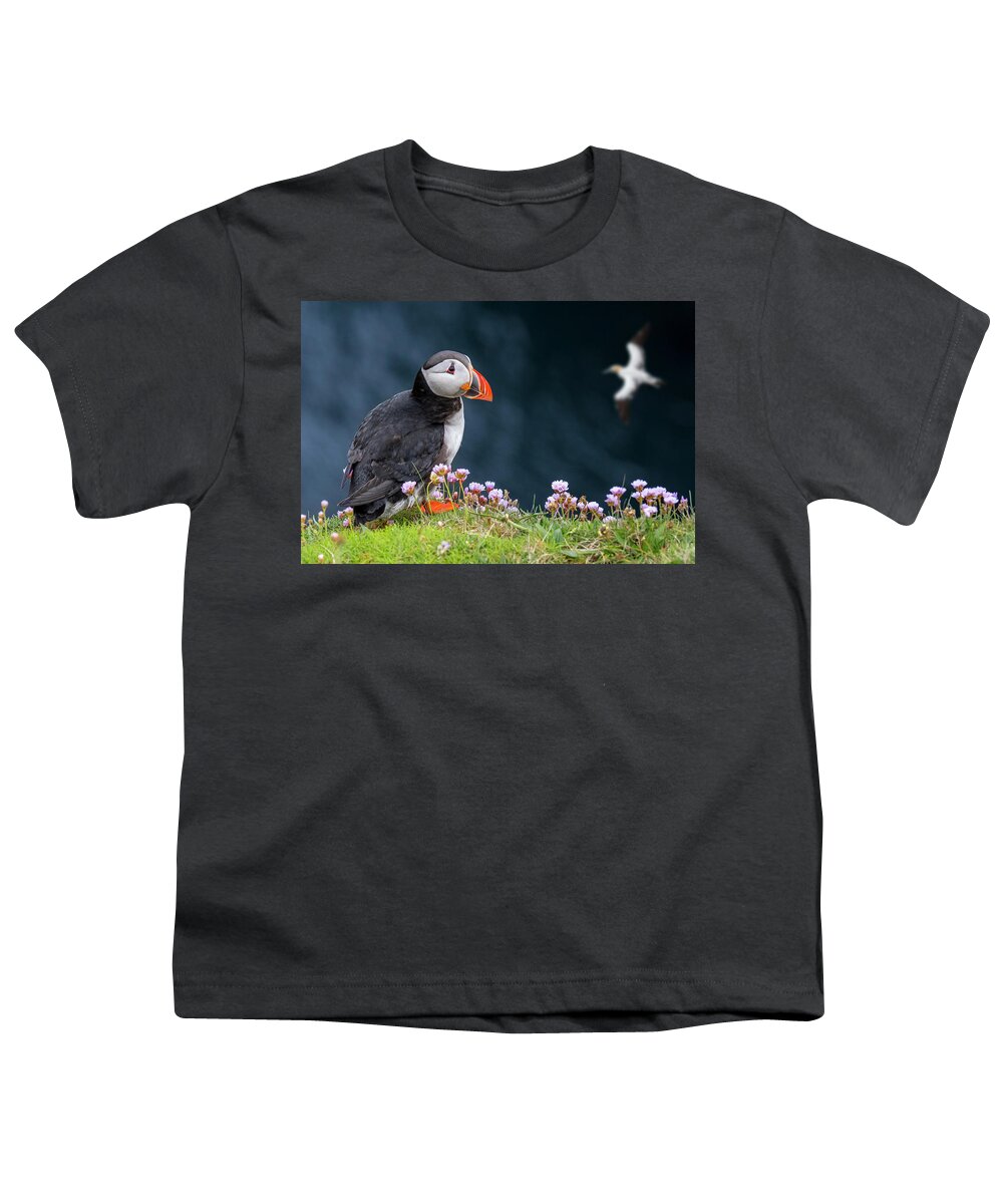 Atlantic Puffin Youth T-Shirt featuring the photograph Scottish Puffin and Gannet by Arterra Picture Library