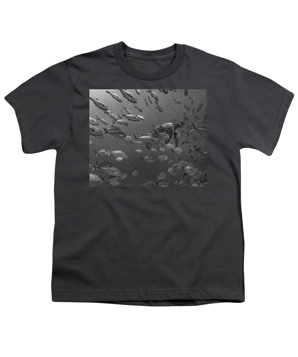 Disk1215 Youth T-Shirt featuring the photograph Sea Turtle And Schooling Fish by Tim Fitzharris