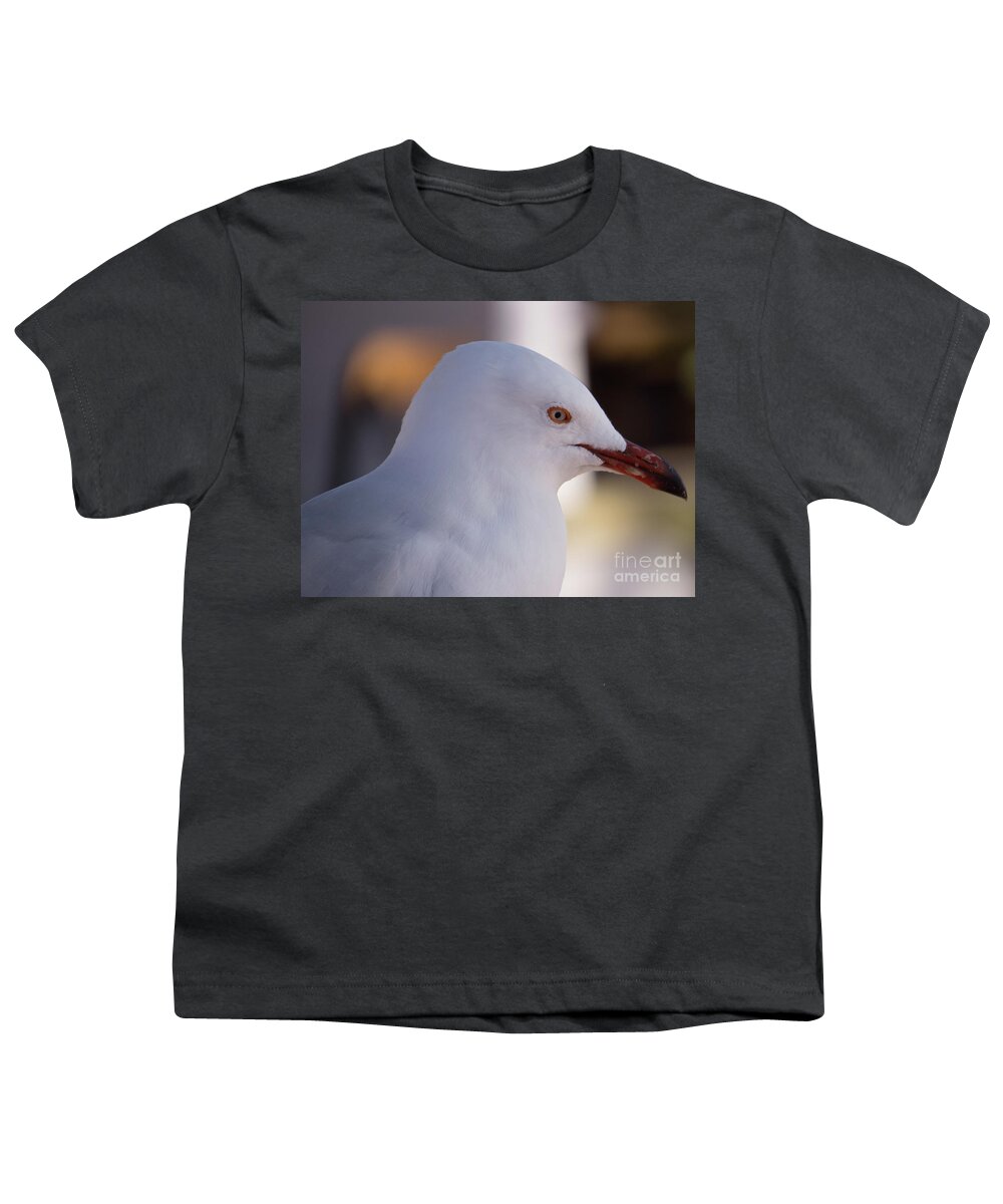 White Youth T-Shirt featuring the photograph Seagull with red beak by Christy Garavetto