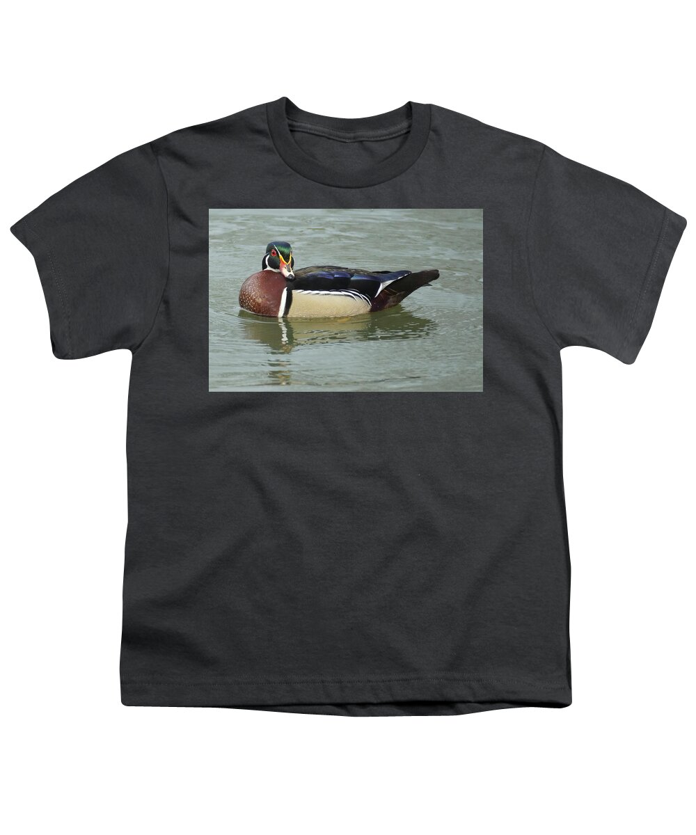 Bird Youth T-Shirt featuring the photograph Shall I Pose For You by Beth Collins