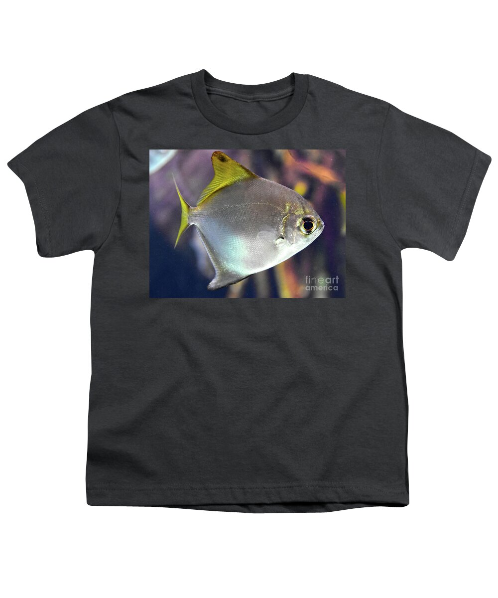Silver Fish With Yellow Fins Pomacentridea Family Youth T-Shirt featuring the pyrography Silver fish with yellow Fins Pomacentridea family by Christine Dekkers