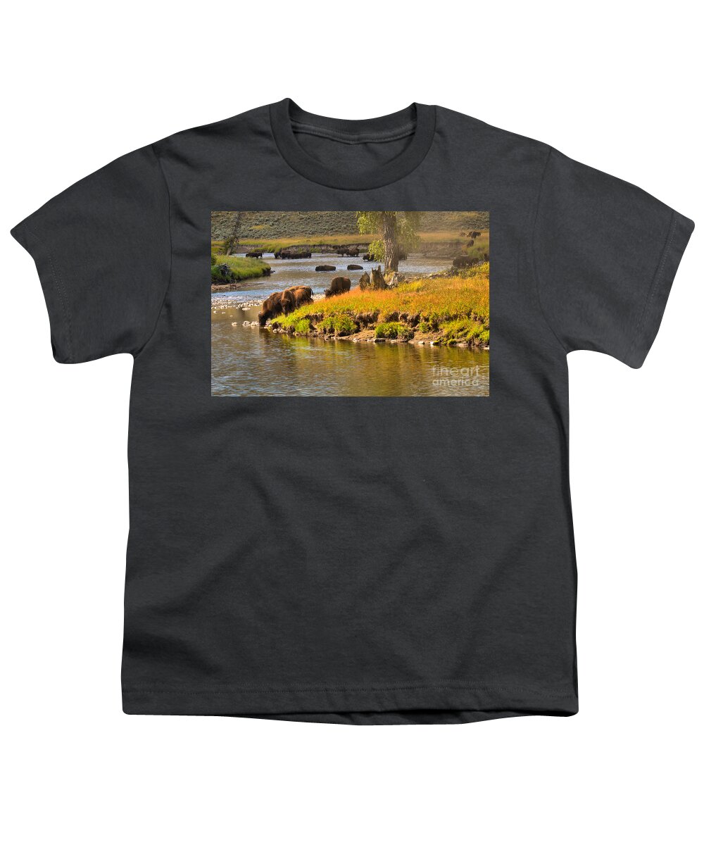 Bison Youth T-Shirt featuring the photograph Slough Creek Bison Picnic by Adam Jewell