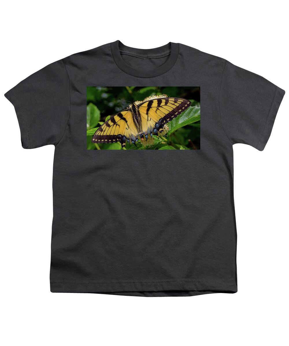 Butterfly Youth T-Shirt featuring the photograph Spread Your Wings by Lora J Wilson