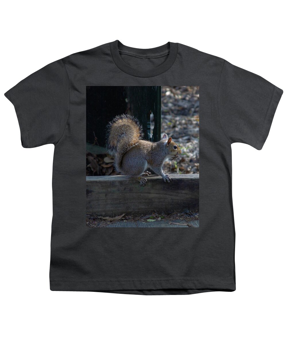 Nature Squirrel Youth T-Shirt featuring the photograph Squirrel by Rocco Silvestri