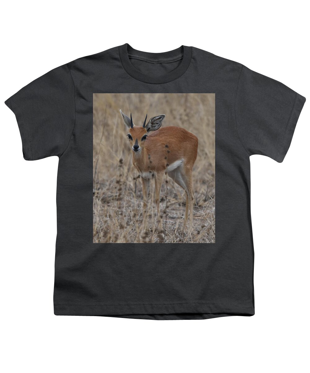 Steenbok Youth T-Shirt featuring the photograph Steenbok, Kruger National Park by Ben Foster