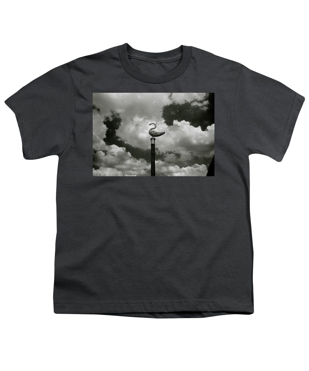Inspiration Youth T-Shirt featuring the photograph Swan And Clouds In Bangkok by Shaun Higson
