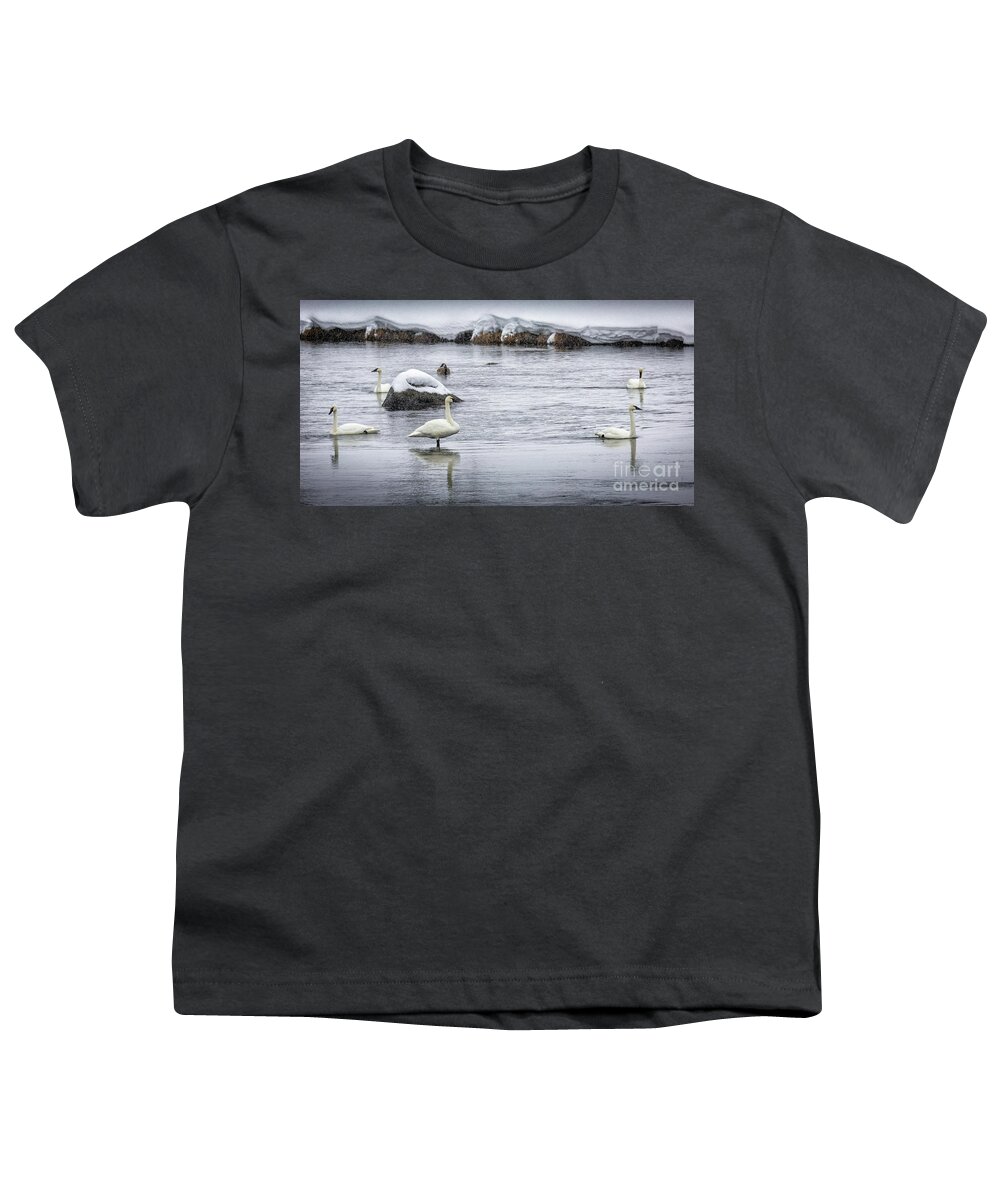 Timothy Hacker Youth T-Shirt featuring the photograph Swans In Winter 1 by Timothy Hacker