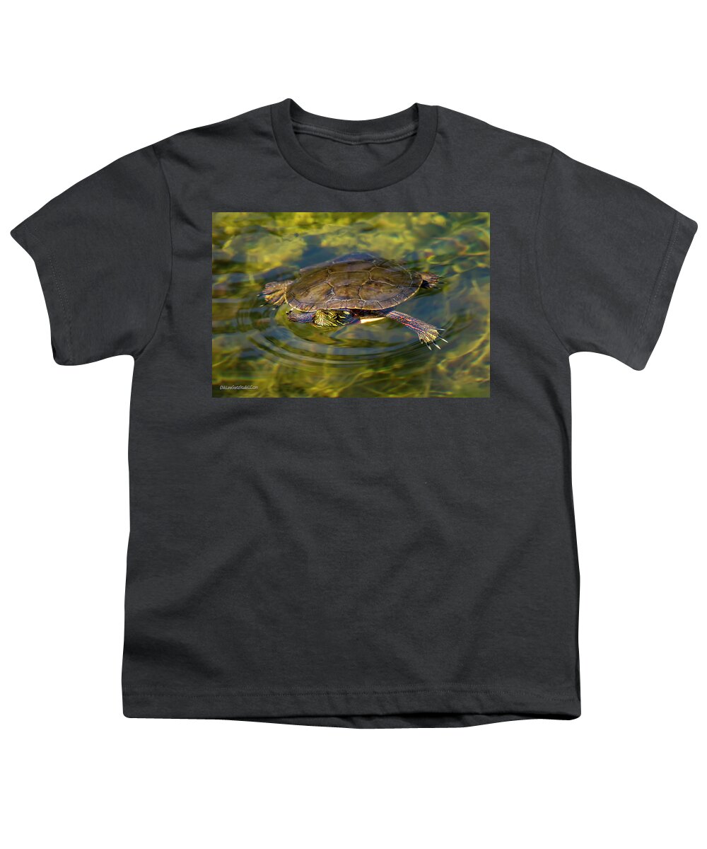 Shell Youth T-Shirt featuring the photograph Swimming Painted Turtle by LeeAnn McLaneGoetz McLaneGoetzStudioLLCcom