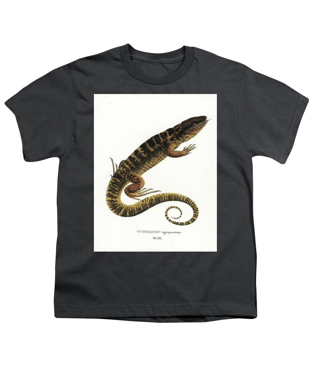 Lizards Youth T-Shirt featuring the drawing Tegu by Philippe Schmid