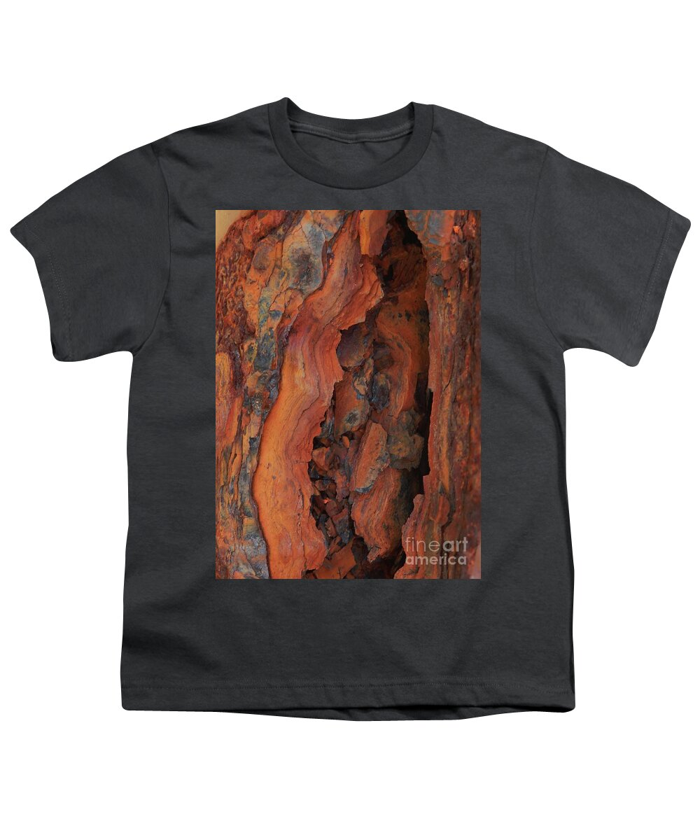  Beauty Of Rust Youth T-Shirt featuring the photograph The Beauty of Rust by Marcia Lee Jones
