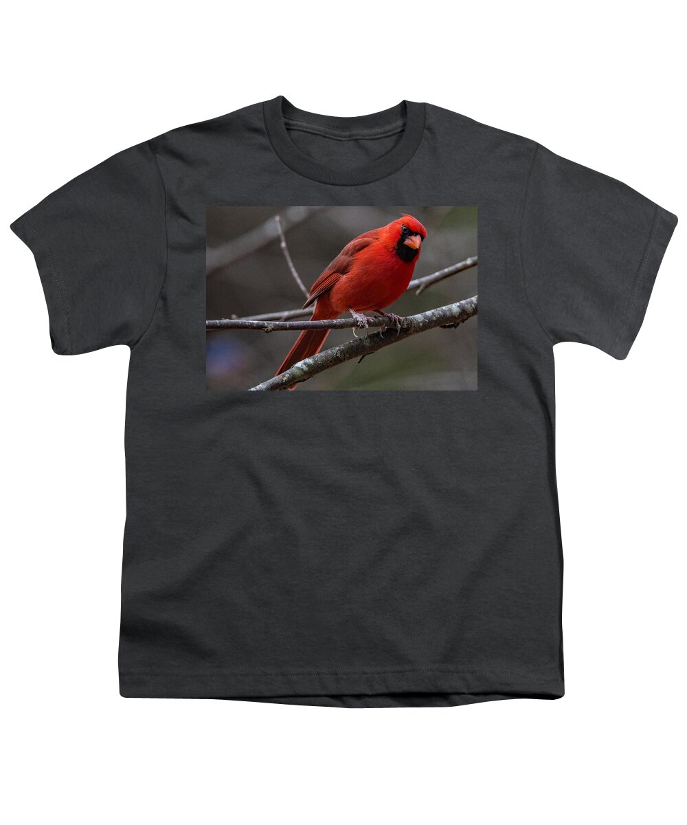 The New Red Suit Prints Youth T-Shirt featuring the photograph The New Red Suit by John Harding