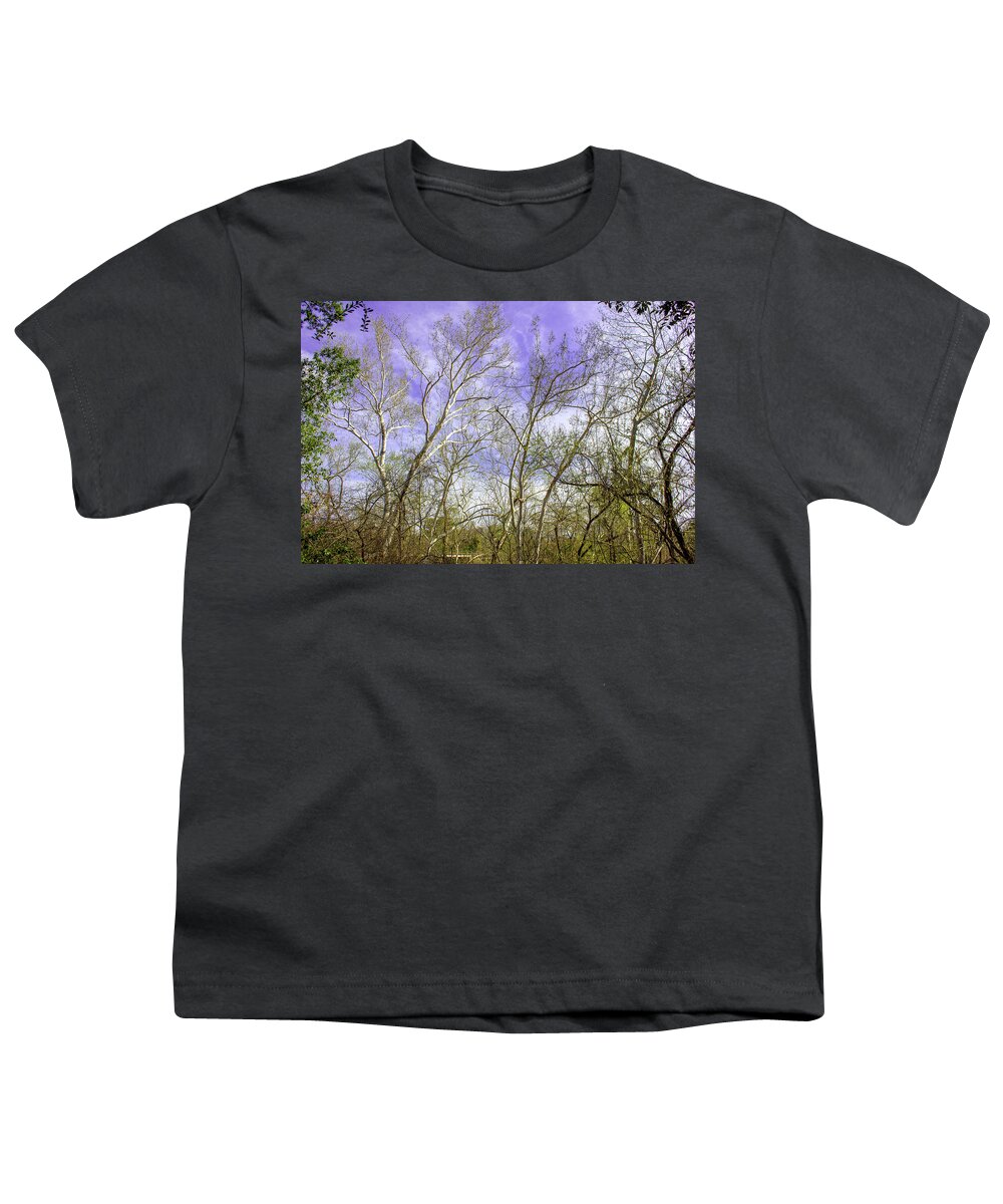 Nature Wood Timber Youth T-Shirt featuring the photograph The Timberlands by Rocco Silvestri