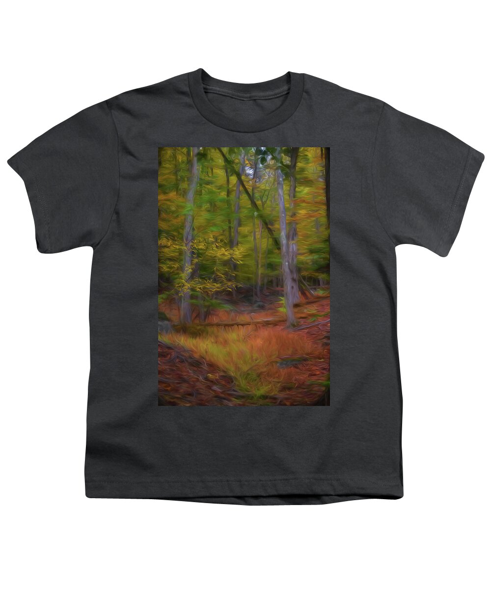 Autumn Youth T-Shirt featuring the photograph The Woods in Autumn II by Alan Goldberg