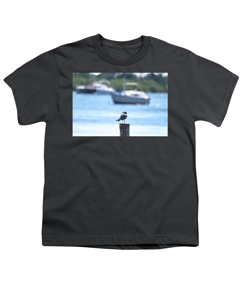 Laughing Gull Youth T-Shirt featuring the photograph This is Florida by Mary Ann Artz