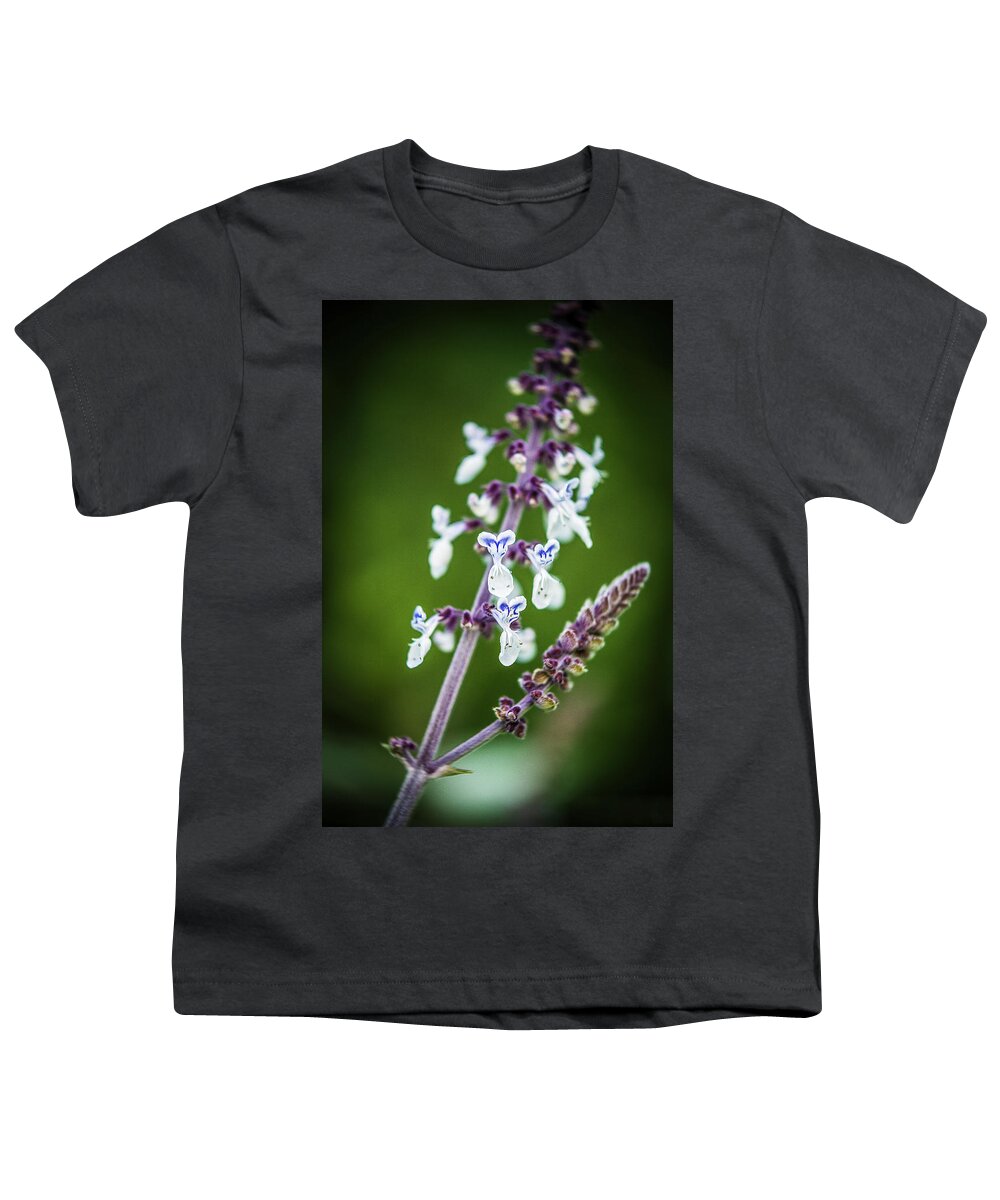 Outdoors Youth T-Shirt featuring the photograph Thuya Garden 2 by Silvia Marcoschamer