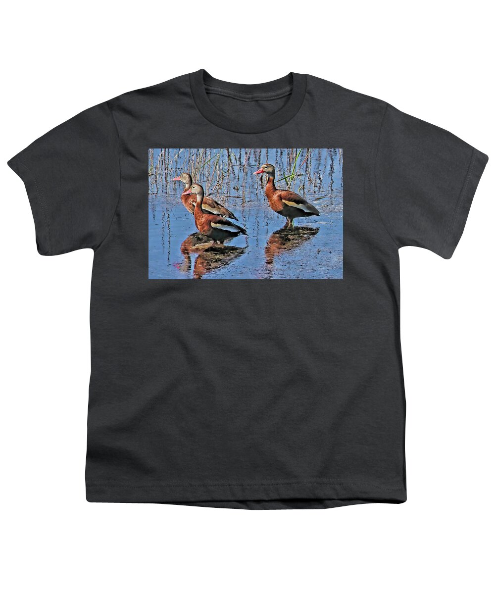 Black-bellied Whistling Duck Youth T-Shirt featuring the photograph Trio of Whistlers by HH Photography of Florida