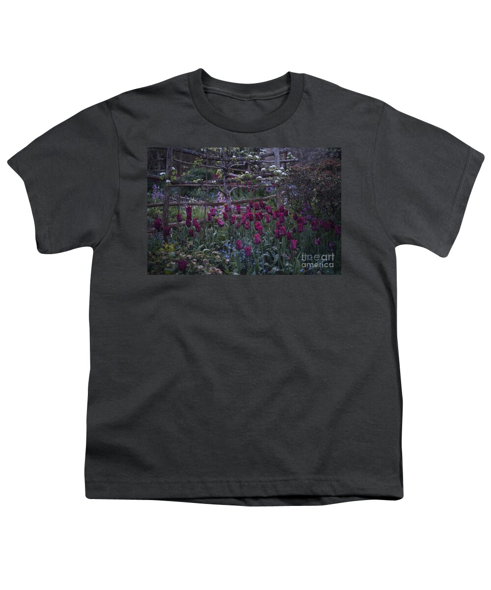 Tulips Youth T-Shirt featuring the photograph Tulips in the evening light by Perry Rodriguez