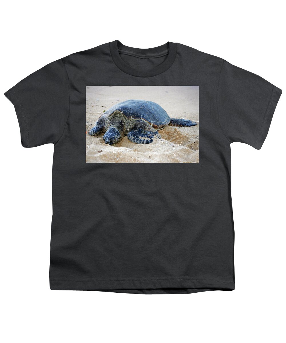 Sea Turtle Youth T-Shirt featuring the photograph Turtle Beach by Anthony Jones