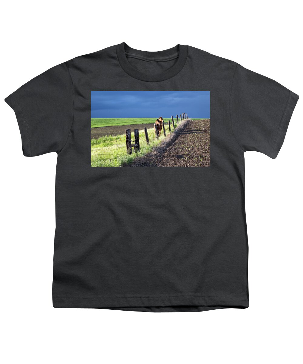 Washington Youth T-Shirt featuring the photograph Two Horses in the Palouse by Cheryl Strahl