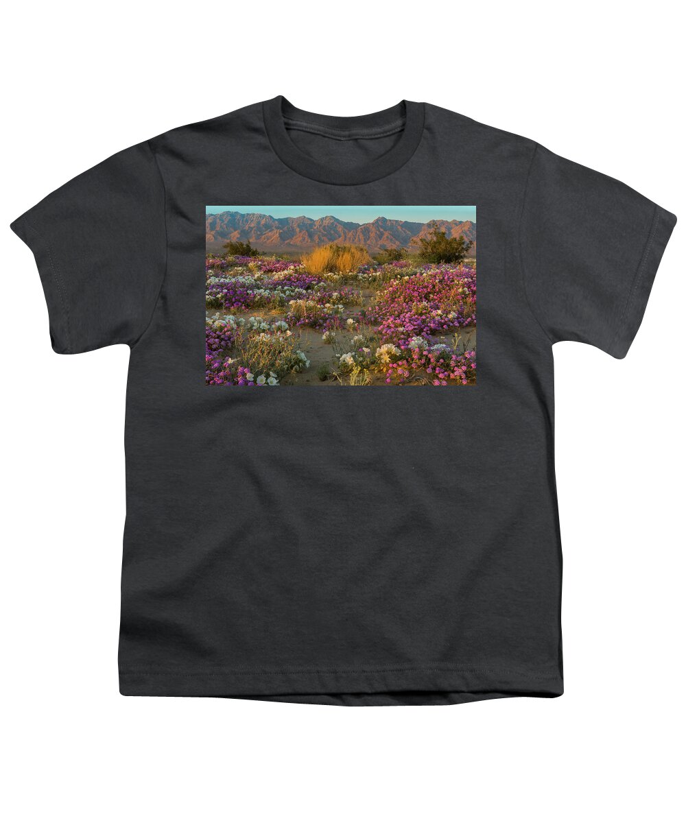 Jeff Foott Youth T-Shirt featuring the photograph Verbena And Primrose In The Mojave by Jeff Foott