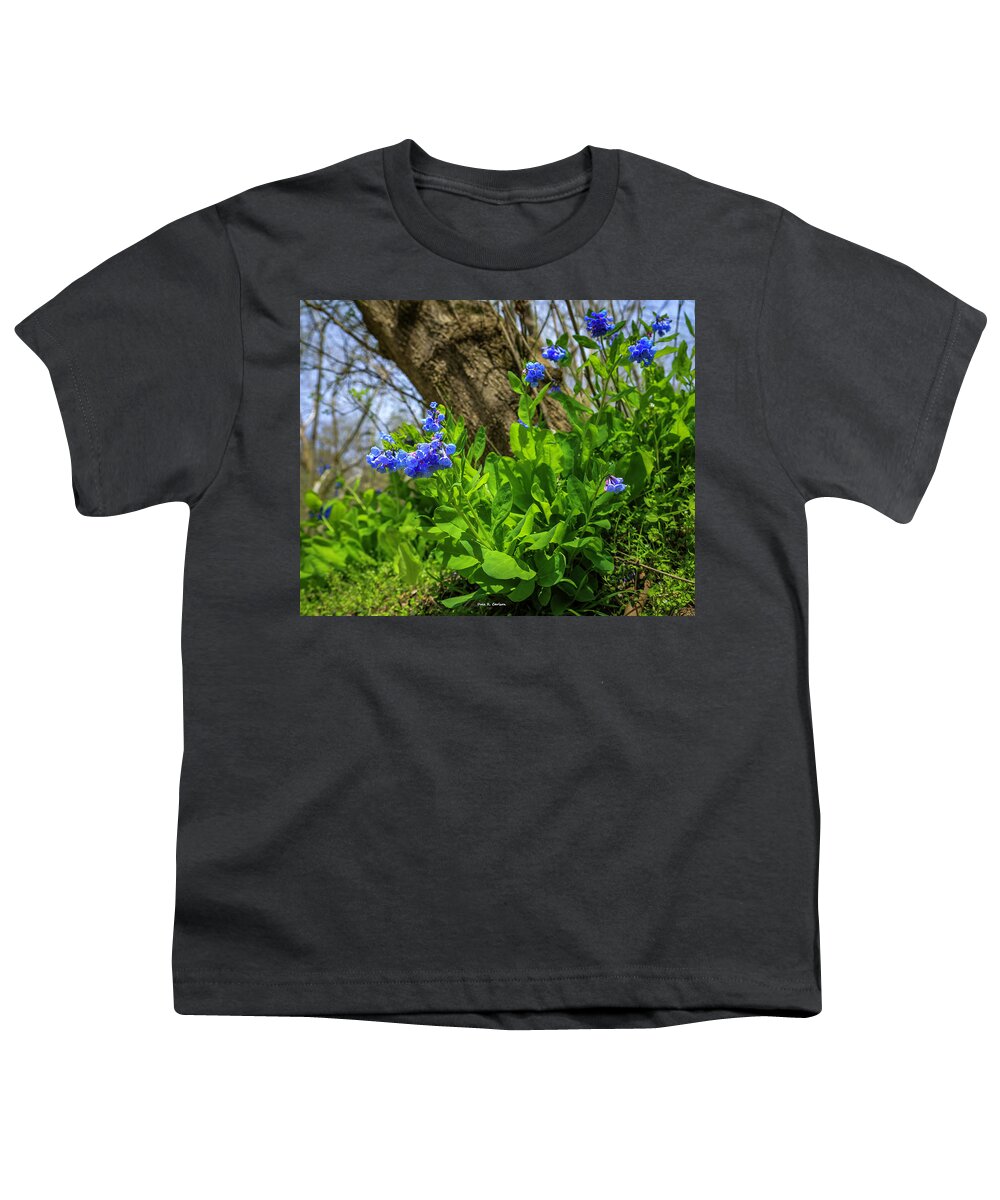 Virginia Bluebells Youth T-Shirt featuring the photograph Bluebells by Dale R Carlson