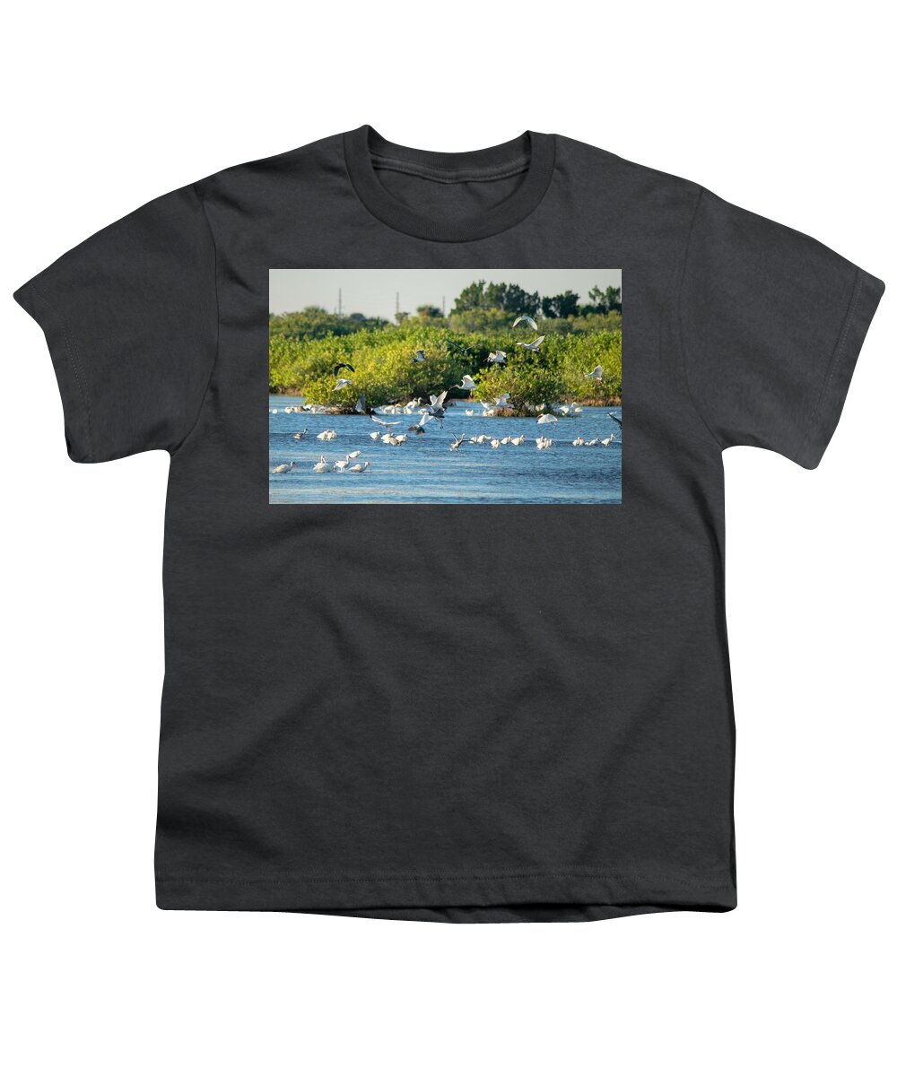 White Ibis Youth T-Shirt featuring the photograph White Ibis Flock - Merritt Island by Mary Ann Artz