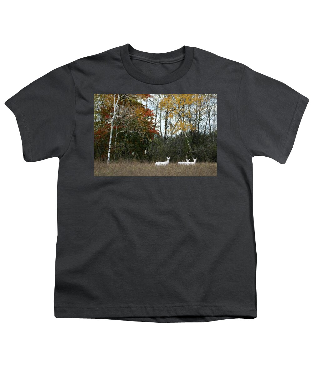 White Youth T-Shirt featuring the photograph White in the Autumn Woods by Brook Burling