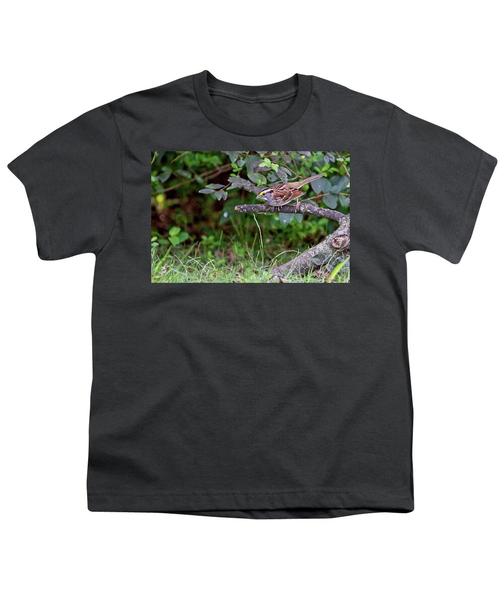 Wildlife Youth T-Shirt featuring the photograph White-throated Sparrow by John Benedict