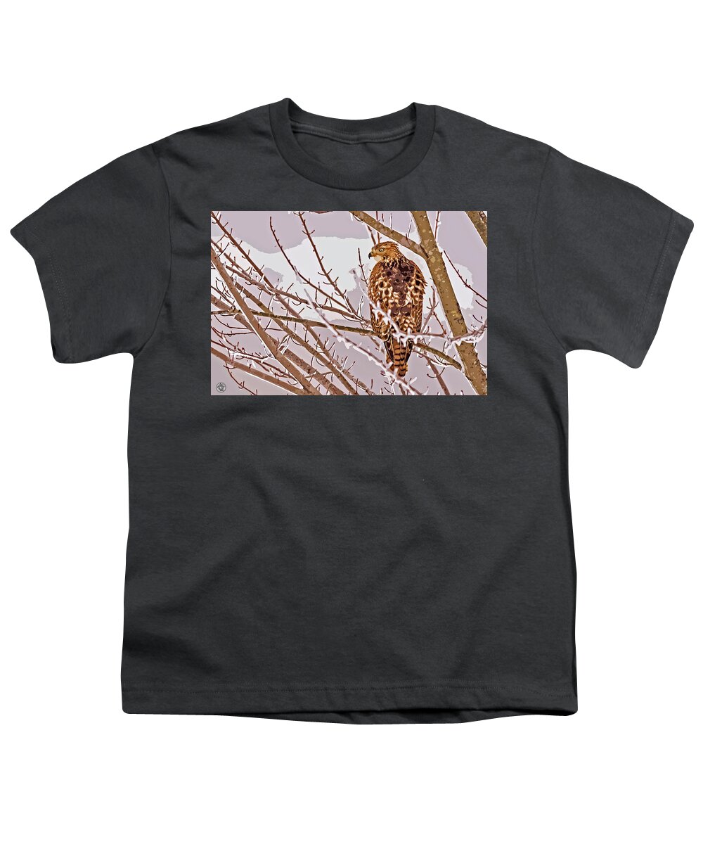 Winter Youth T-Shirt featuring the photograph Winter Hawk by Andrew Zydell