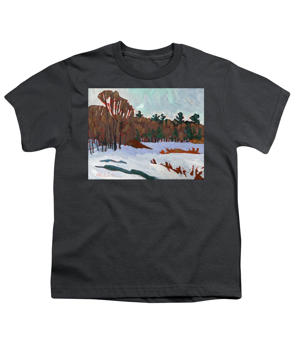 2230 Youth T-Shirt featuring the painting Winter on Long Reach Lane by Phil Chadwick
