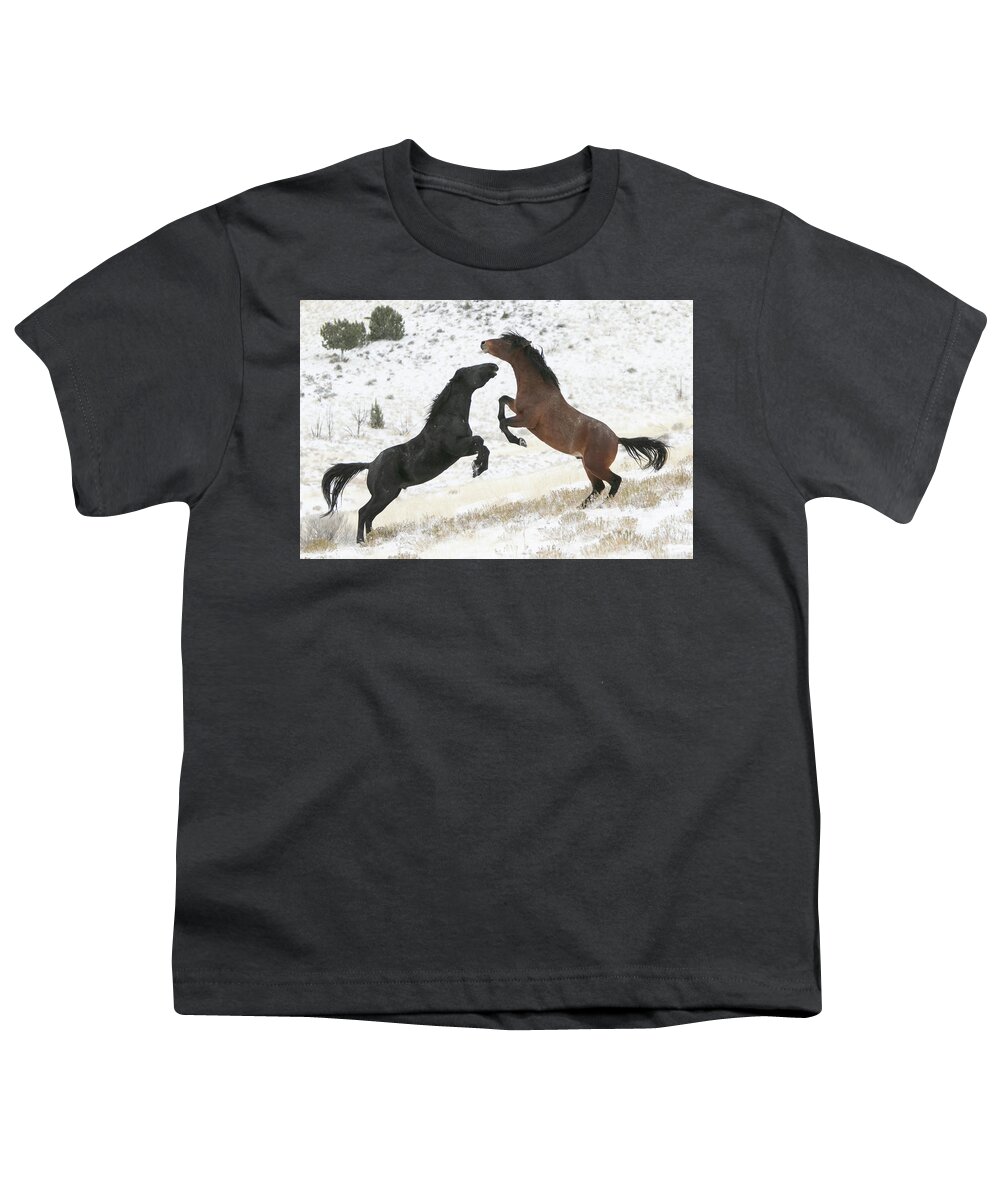 Horse Youth T-Shirt featuring the photograph Winter Stallions by Kent Keller