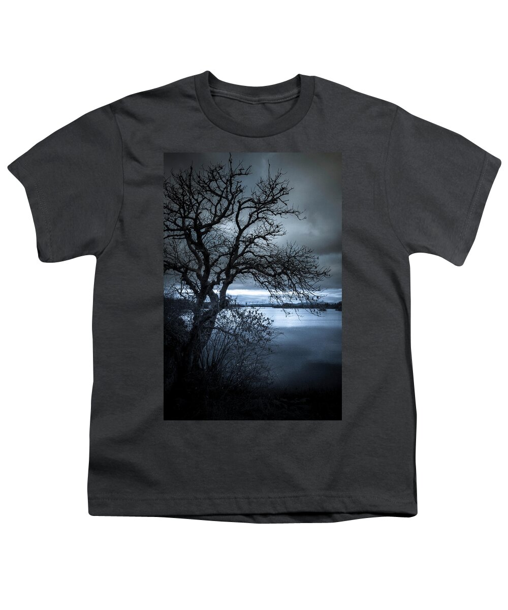 Tree Youth T-Shirt featuring the photograph Winter Tree by Mark Callanan