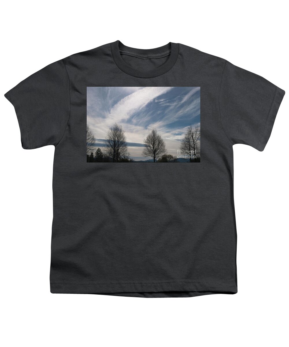 Winter Youth T-Shirt featuring the photograph Winter Tree's - Biltmore Estate by Dale Powell
