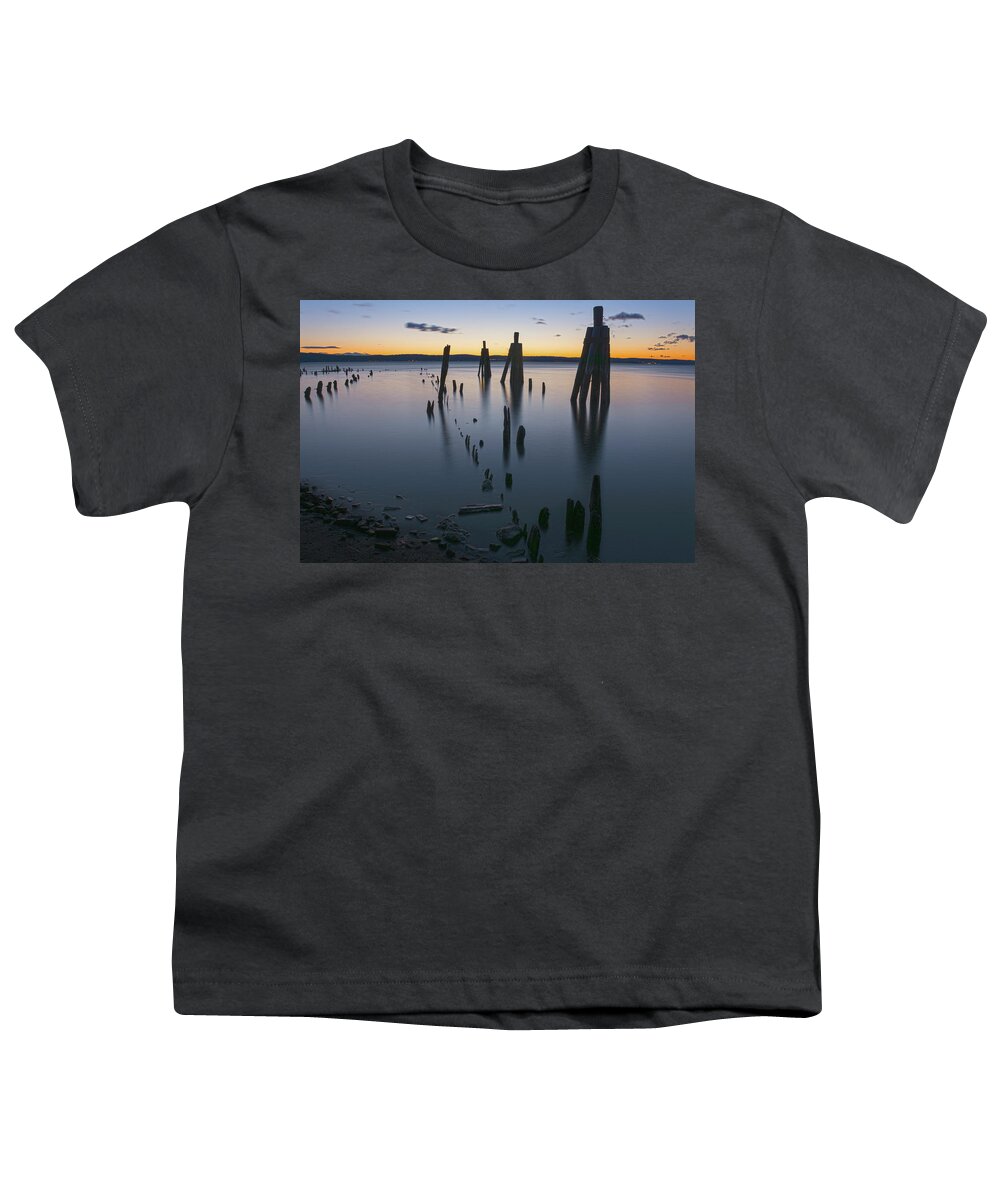 Emeline Park Youth T-Shirt featuring the photograph Wooden Soldiers of the Hudson by Angelo Marcialis