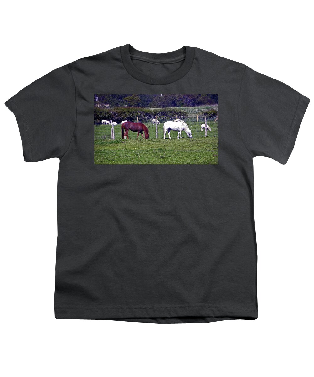 Morecambe. Morecambe Bay Youth T-Shirt featuring the photograph 09/06/19 MORECAMBE. Hest Bank. Horses. by Lachlan Main