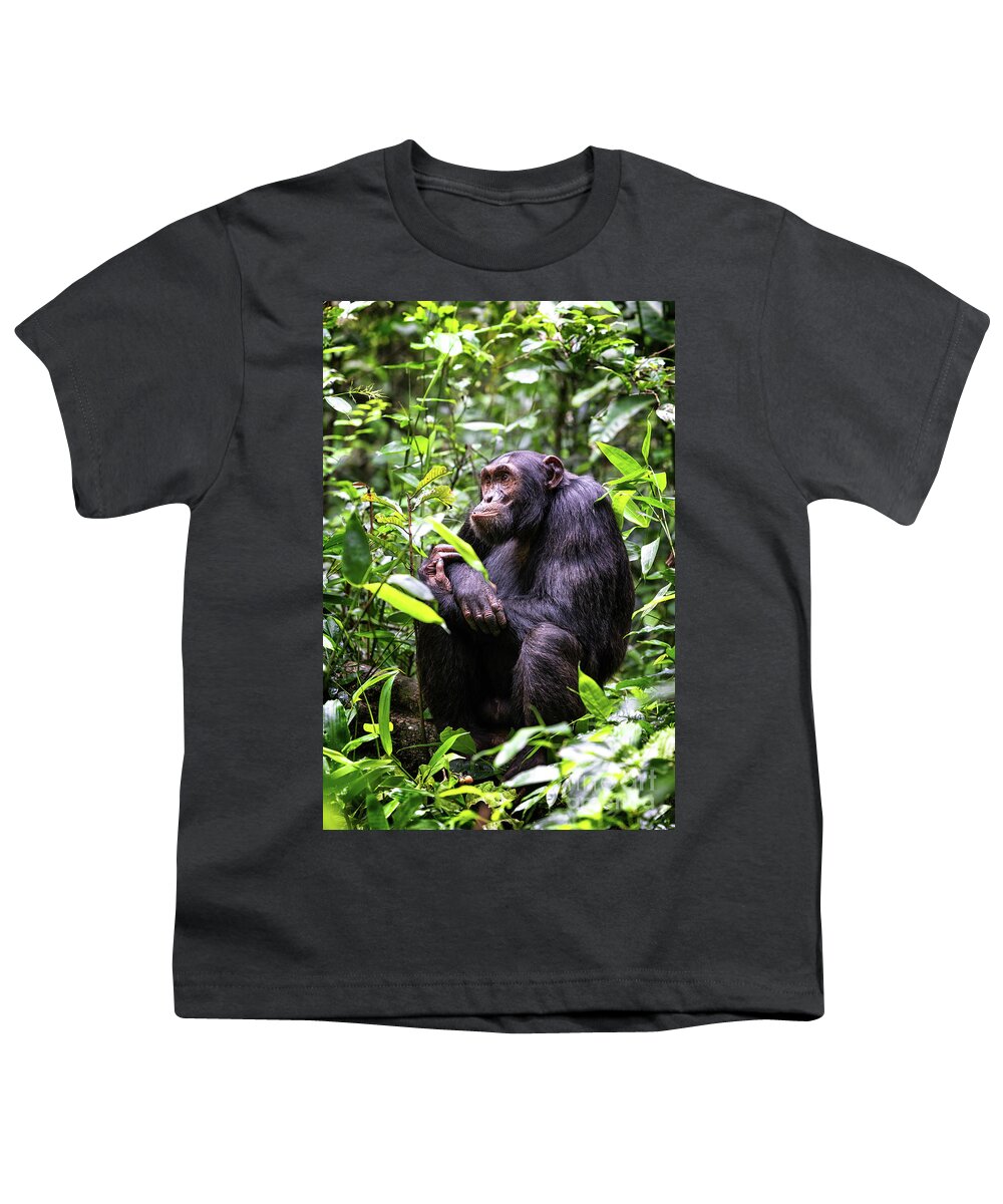 Adult Youth T-Shirt featuring the photograph Adult chimpanzee, pan troglodytes, in the tropical rainforest of #1 by Jane Rix