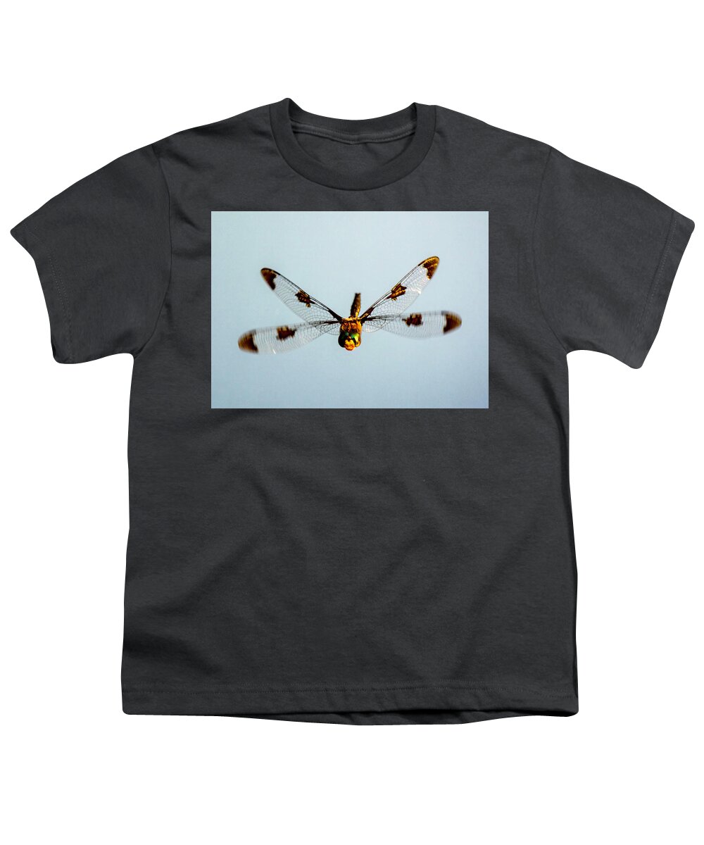 Bug Youth T-Shirt featuring the photograph Dragonfly in Flight - Eaton Rapids, Michigan USA - #2 by Edward Shotwell