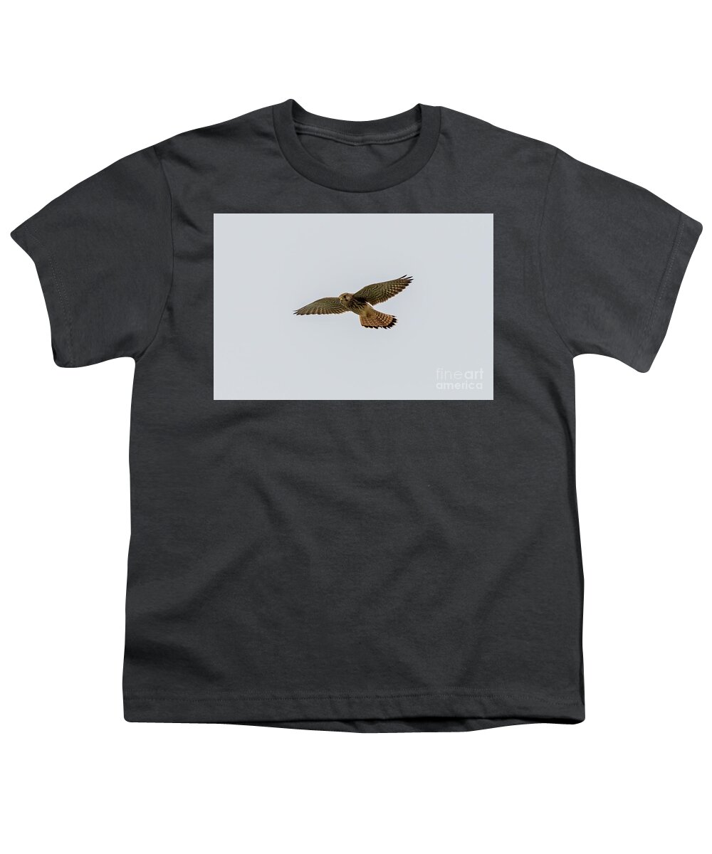 Kestrel Youth T-Shirt featuring the photograph Eurasian Kestrel Falco tinnunculus Costa Ballena Cadiz #1 by Pablo Avanzini