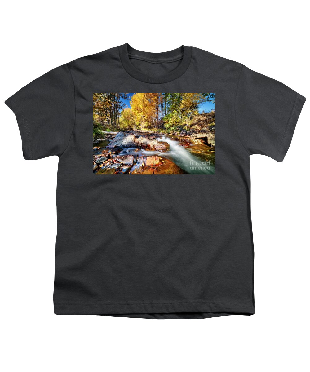 Creek Youth T-Shirt featuring the photograph Fall Colors #1 by Thomas Nay