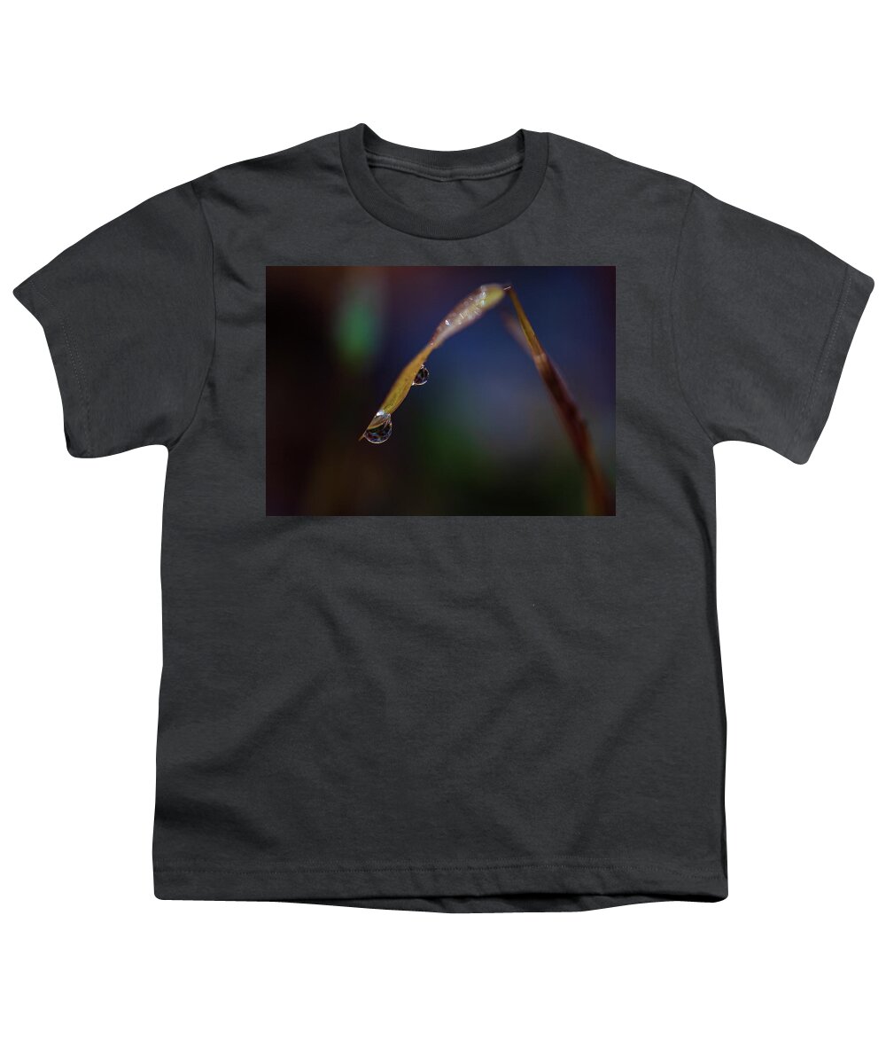 Fall Youth T-Shirt featuring the photograph Macro Photography - Water Drops on Grass #1 by Amelia Pearn