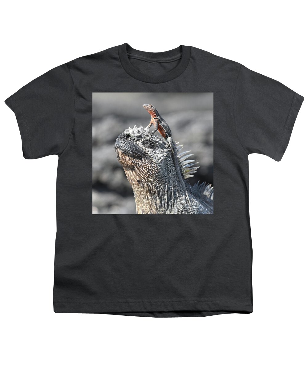 Iguana Youth T-Shirt featuring the photograph Reptile Partners #1 by Ben Foster