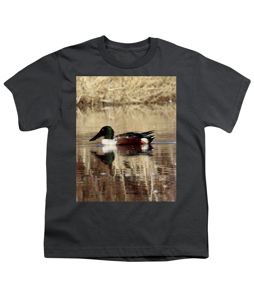 Duck Youth T-Shirt featuring the photograph Shoveler Drake #1 by Robert Harris