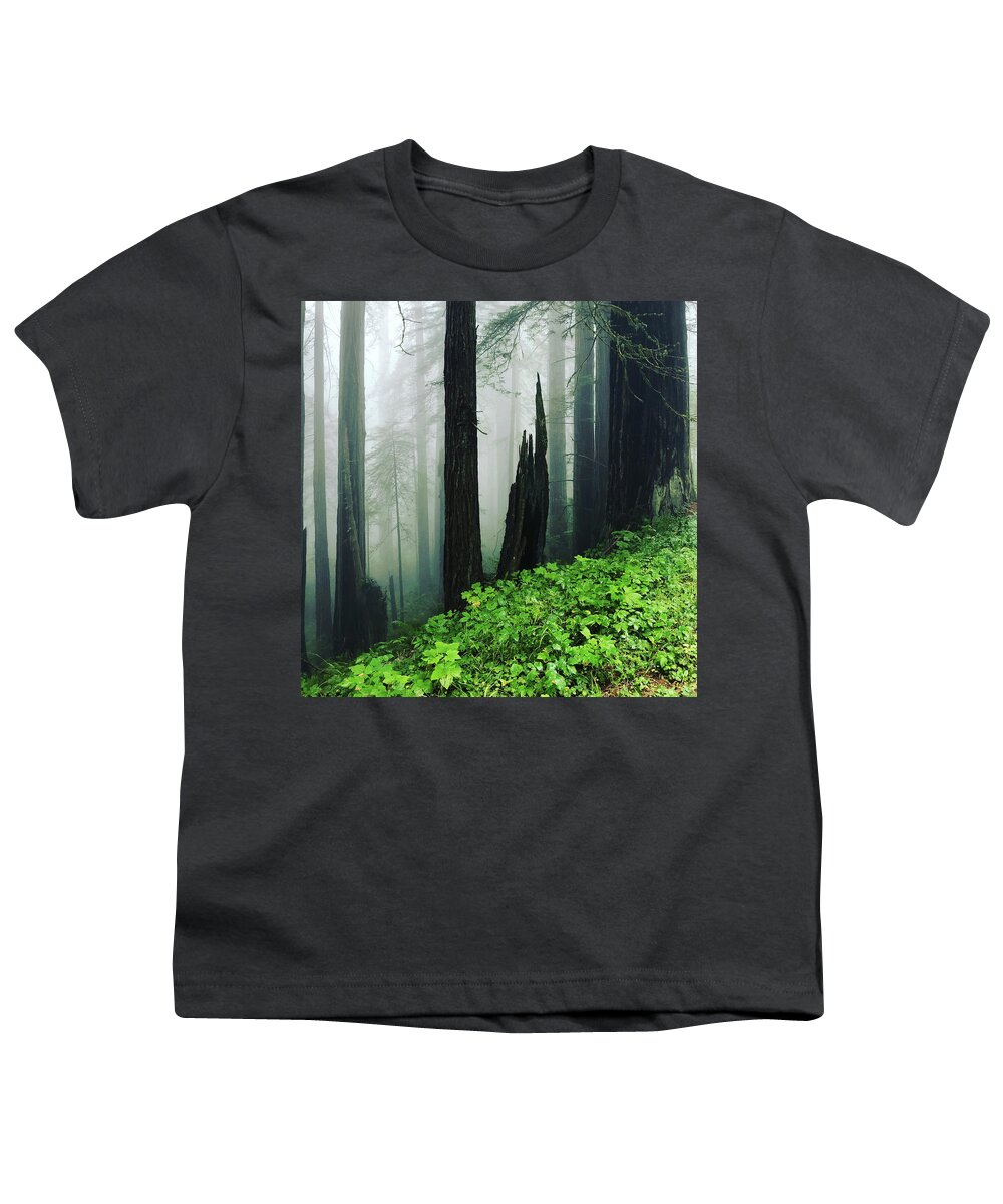 Redwoods Youth T-Shirt featuring the photograph Smoke from a Distant Fire #1 by Grey Coopre