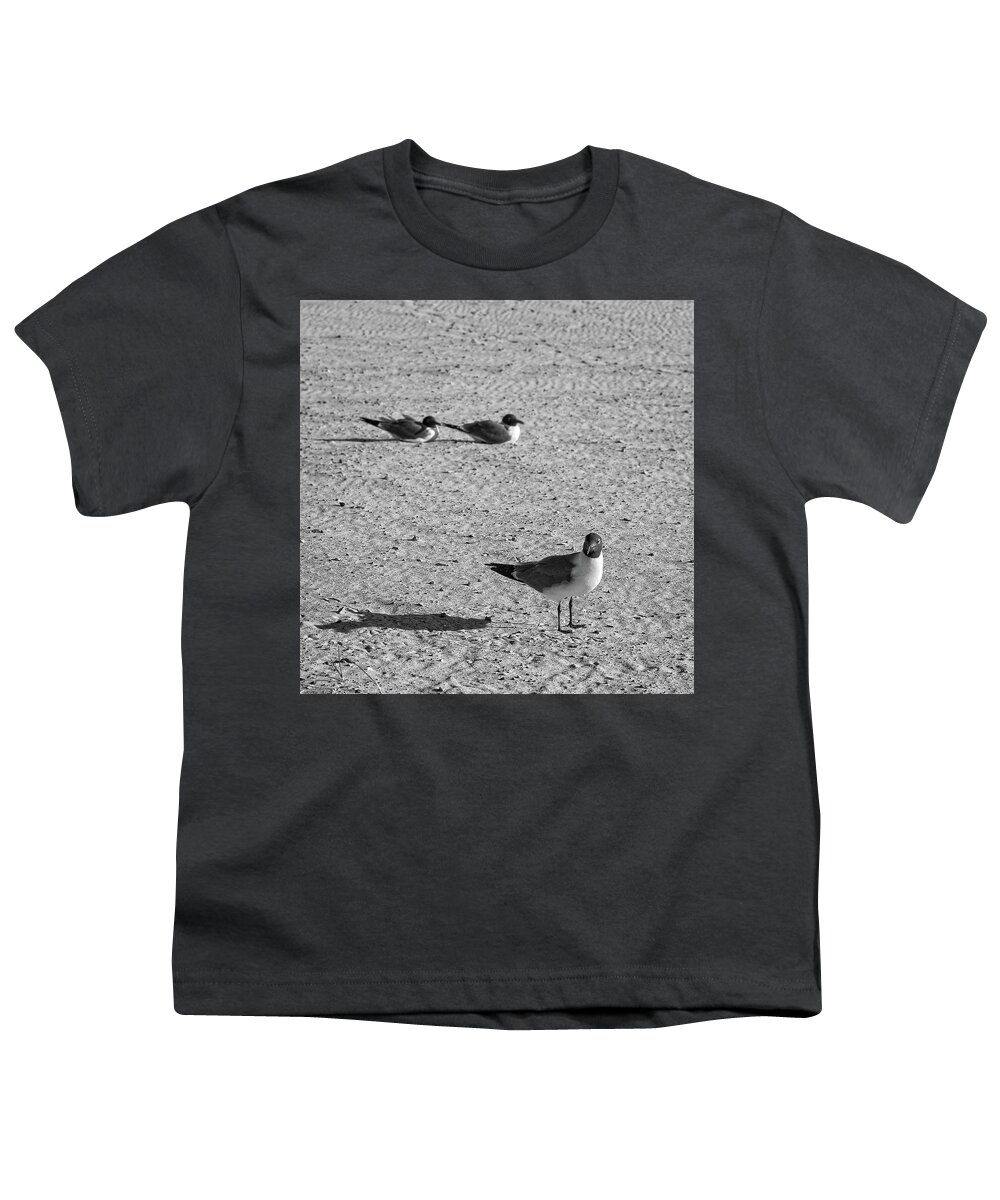 Seagull Youth T-Shirt featuring the photograph What Are You Lookin' At? #1 by George Taylor